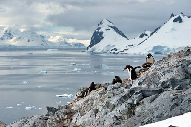 Scenery from the Antarctic Peninsula